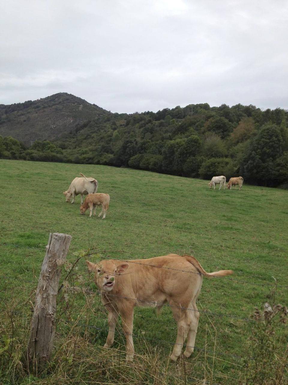 La Posada Nueva in Erro, Pyrénées espagnoles