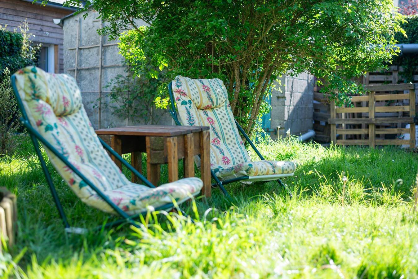 La Maison Qui Ronronne - Chat Aristo in Riec-sur-Bélon, Côte de Cornouaille