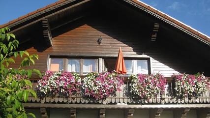 Ferienhaus für 4 Personen in Waldmünchen, Ostbayern, Bild 4