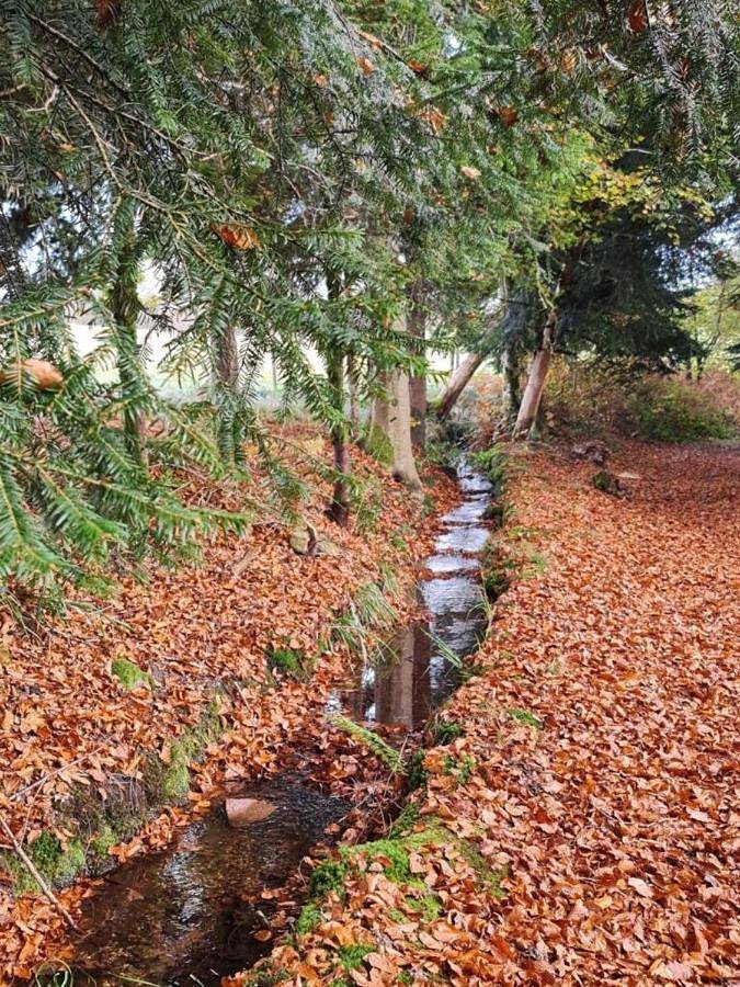 Pied des Milles Etang - Les Capucins in Faucogney-et-la-Mer, Parc naturel régional des Ballons des Vosges
