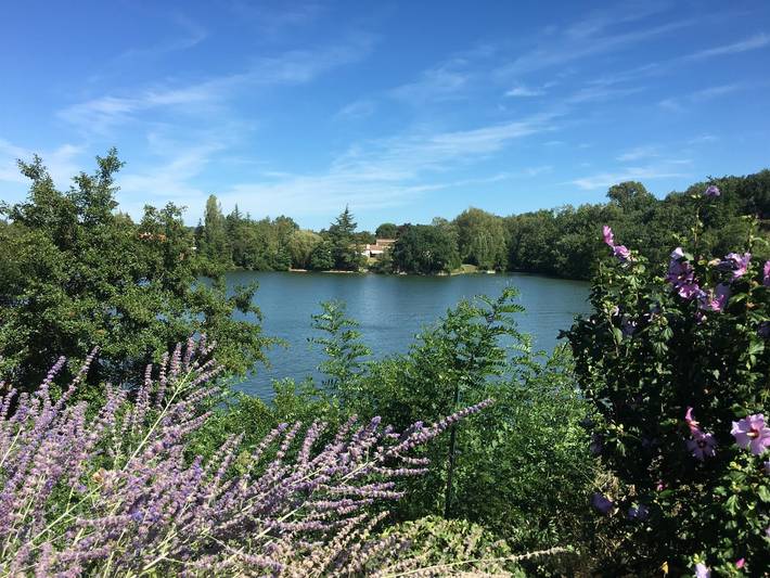 Gîte pour 6 personnes, avec Terrasse ainsi que Jardin et Piscine à Labastide-de-Lévis - 4