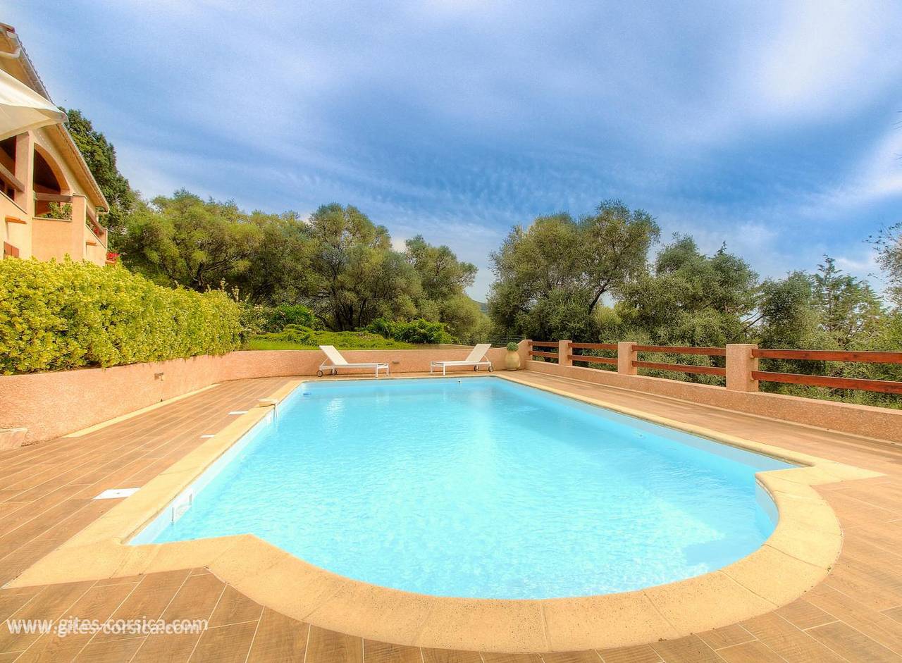 L'alivetu in Peri, Ajaccio und Umgebung