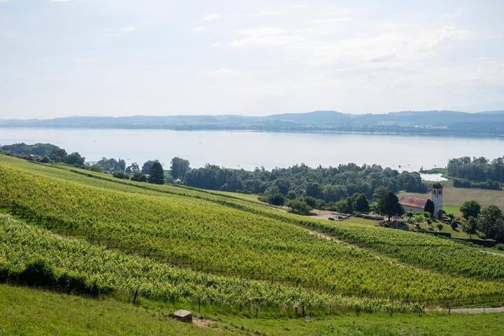Chambre d’hôte pour 2 personnes, avec Balcon et Terrasse ainsi que Jardin et Vue