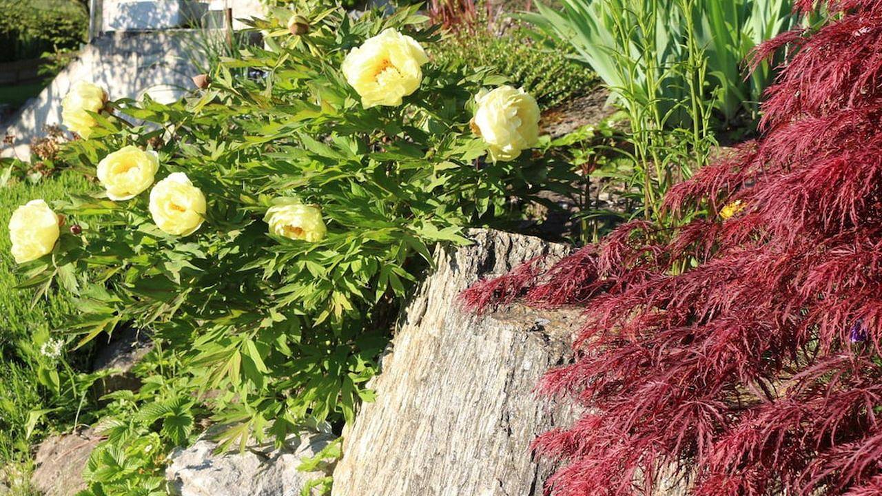 Maison de vacances pour 2 personnes in Blonay, Lac Léman