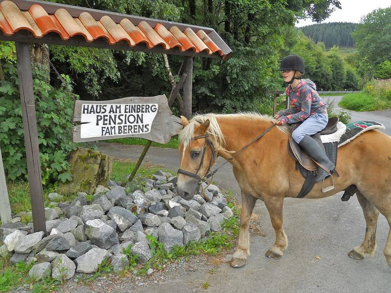 Pension Haus am Einberg - Doppelzimmer Komfort in Meschede, Hochsauerlandkreis