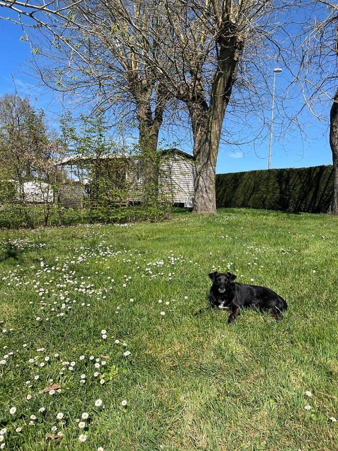 Camping pour 3 personnes, avec vue et vue sur le lac ainsi que jardin et terrasse, animaux acceptés dans le Cher - 2