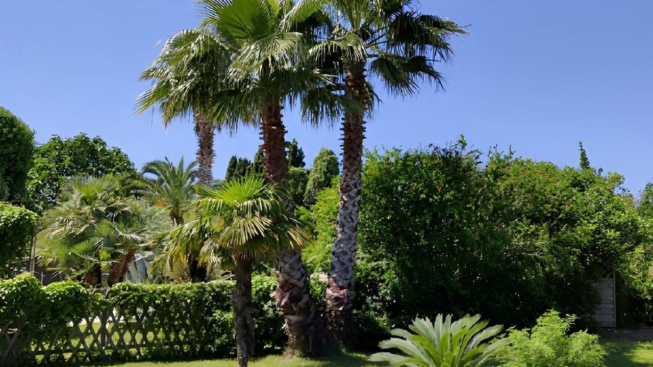 Maison L'Oasis in Argeliers, Région de Narbonne