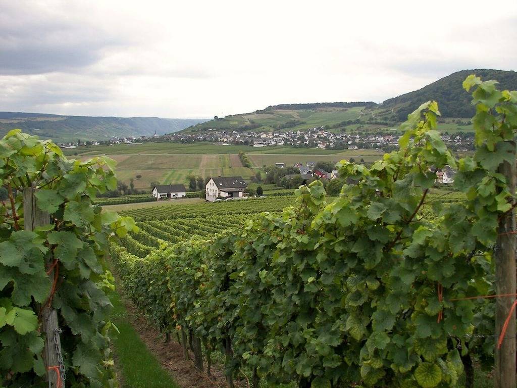 2 Weinhaus Marmann in Osann-Monzel, Bernkastel-Kues & Umgebung