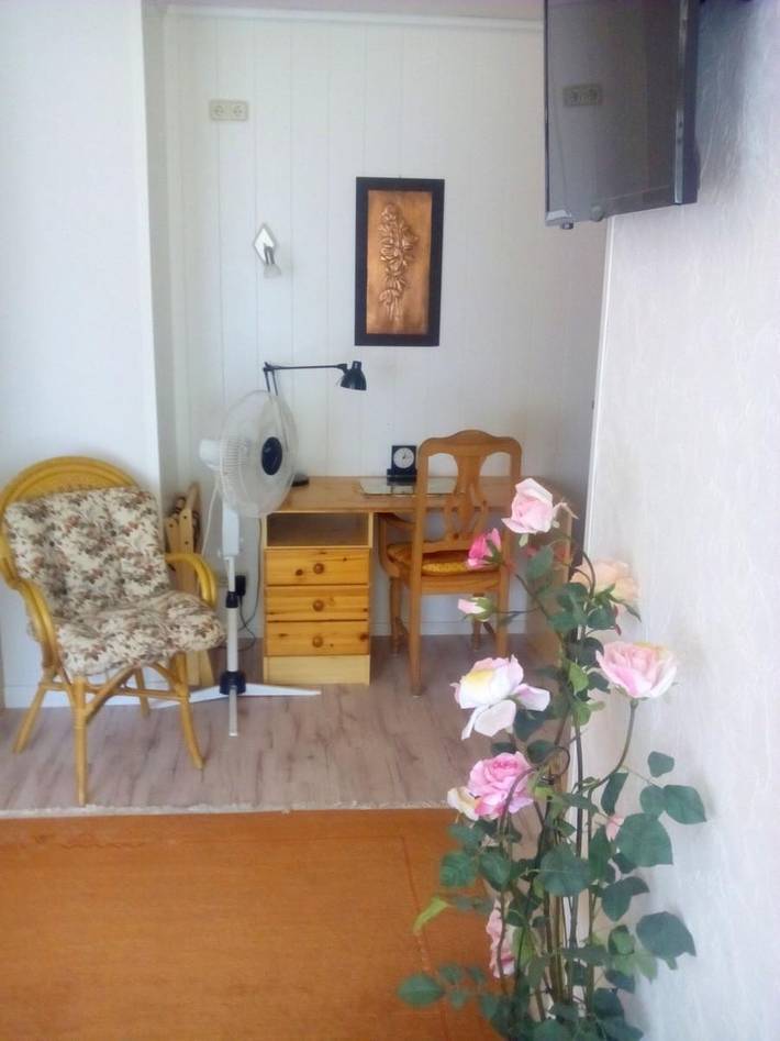 Ferienwohnung für 3 Personen, mit Haustier in Idar-Oberstein - 4