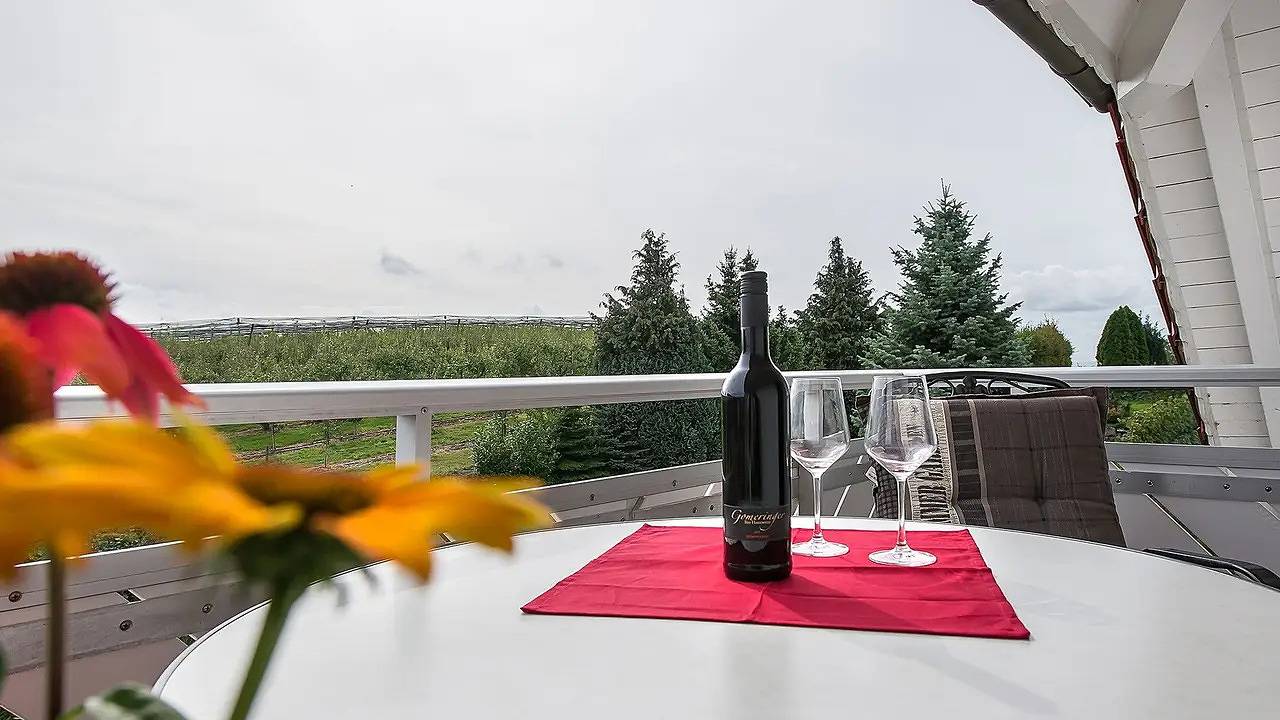 Ganze Ferienwohnung, Ferienwohnung für 2 Personen (38 m²) in Immenstaad am Bodensee in Kippenhausen, Immenstaad am Bodensee