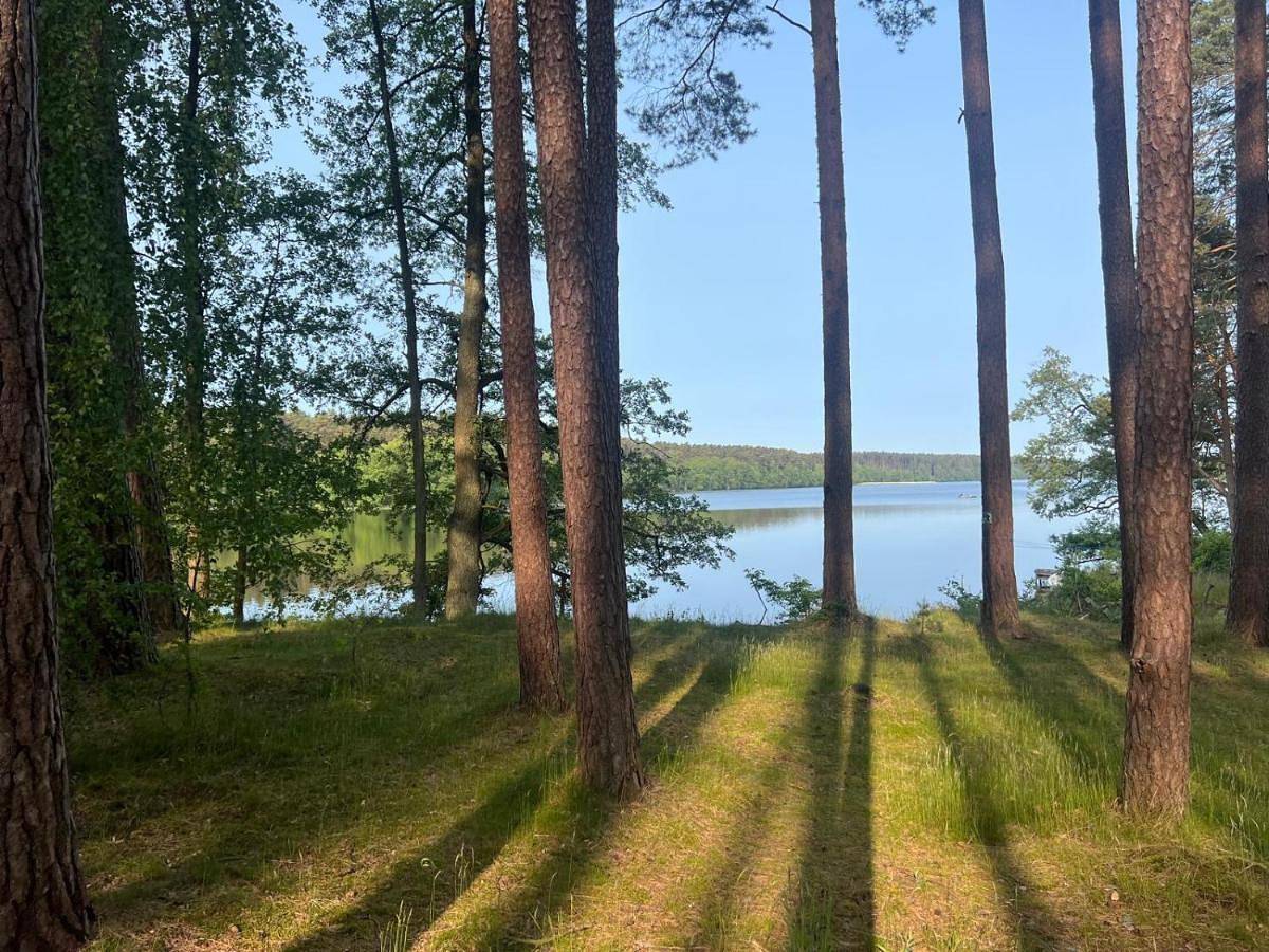 Borowy Glamp więcej niż domki in Bory Tucholskie