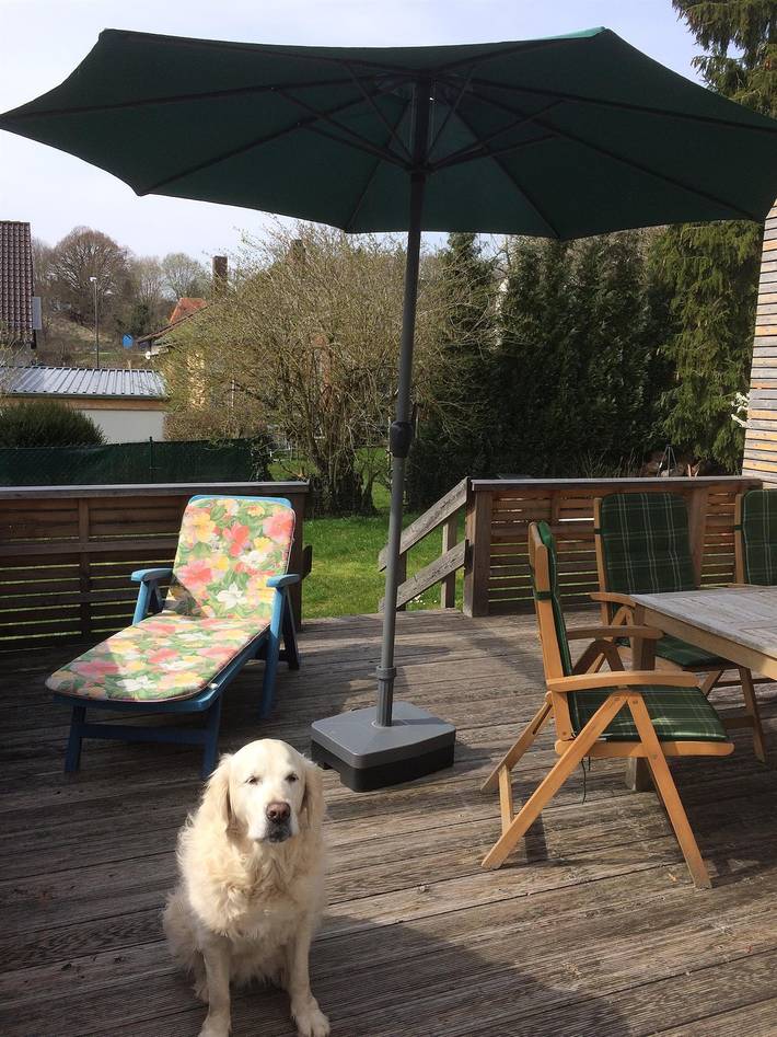 Ferienhaus für 6 Personen, mit Terrasse in Rheinland-Pfalz - 2