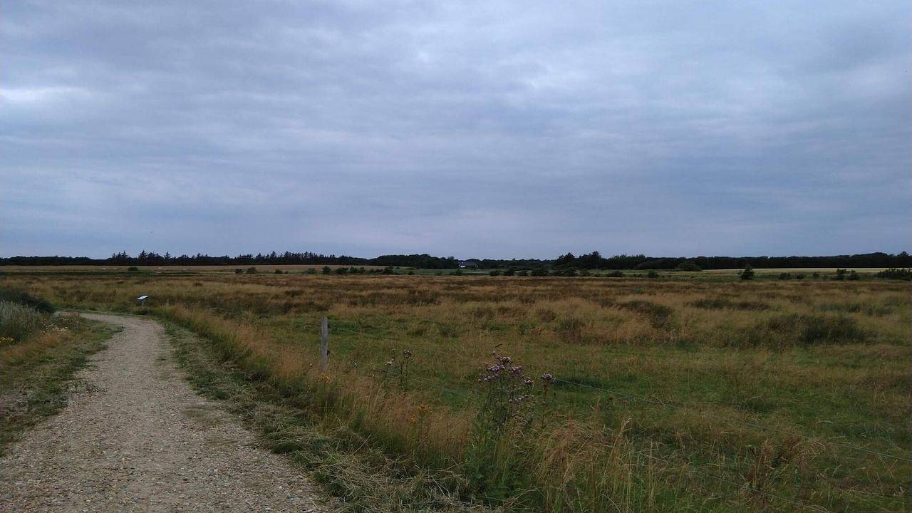 Ferienhaus für 5 Personen (69 m²) in Esbjerg V in Esbjerg, Esbjerg und Umgebung