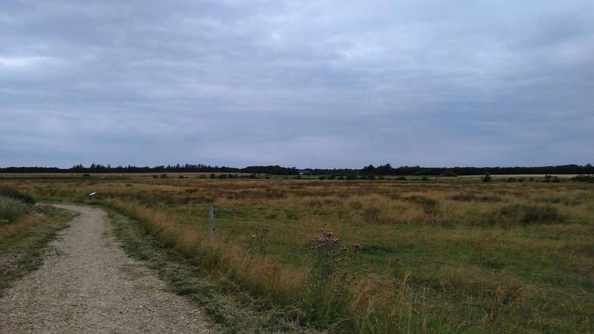 Ferienhaus für 6 Personen in Esbjerg - 4