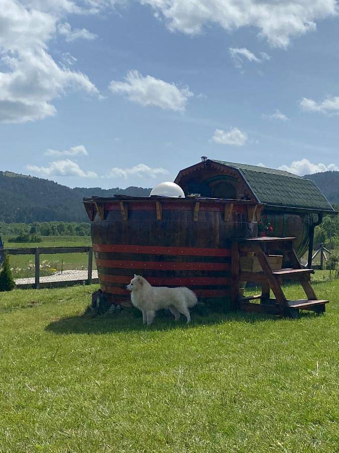 Camping für 4 Personen, mit Terrasse und Whirlpool sowie Garten und Sauna in Serbien - 2