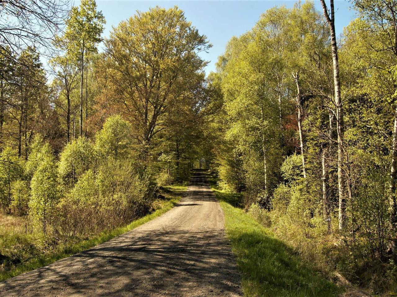 4 stjarniga stuga i Bredaryd in Jönköpings län