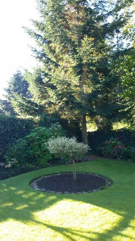 Ferienhaus für 5 Personen, mit Garten in Husum - 3