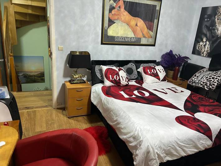 Chambre d’hôte pour 2 personnes, avec jacuzzi ainsi que jardin et sauna à Bruxelles - 4