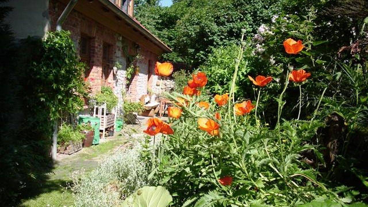 Appartement de vacances entier, Ferienwohnung für 2 Personen (80 m²) in Thale in Thale, Harzvorland