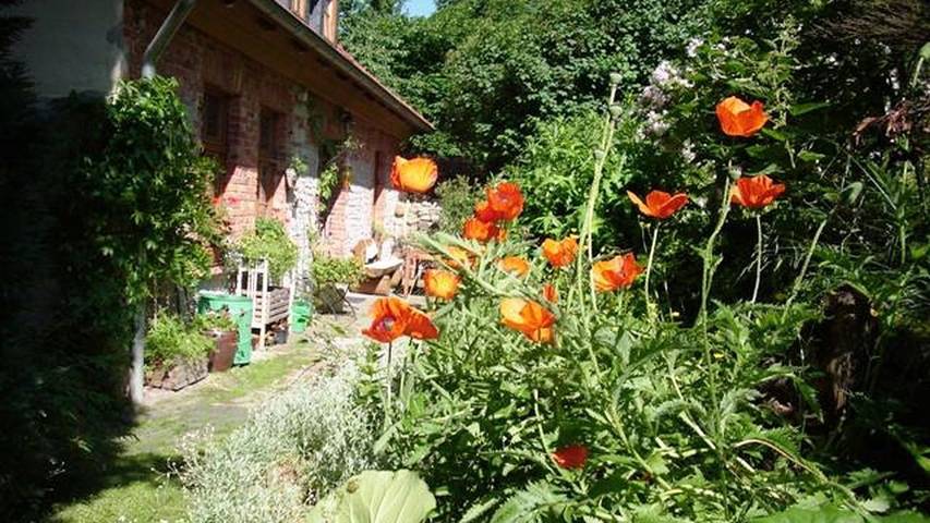Ferienwohnung für 4 Personen, mit Garten in Thale - 2