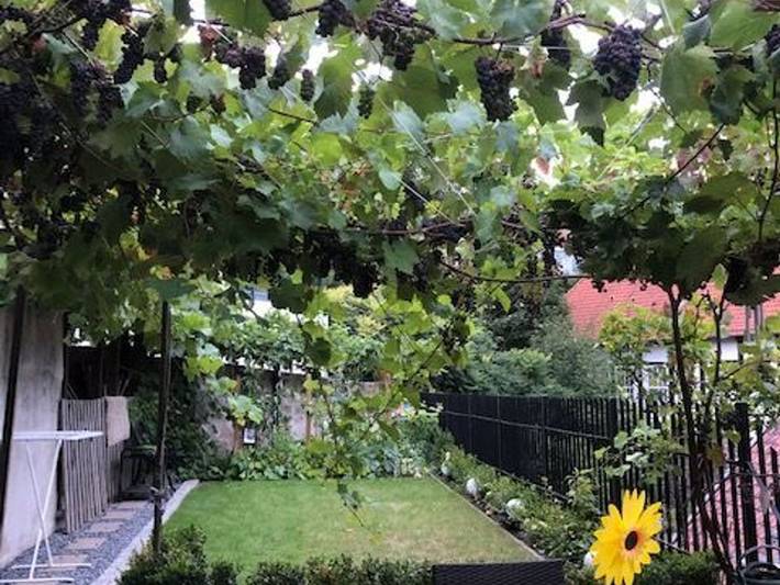 Ferienwohnung für 3 Personen, mit Garten, kinderfreundlich in Tecklenburg - 2