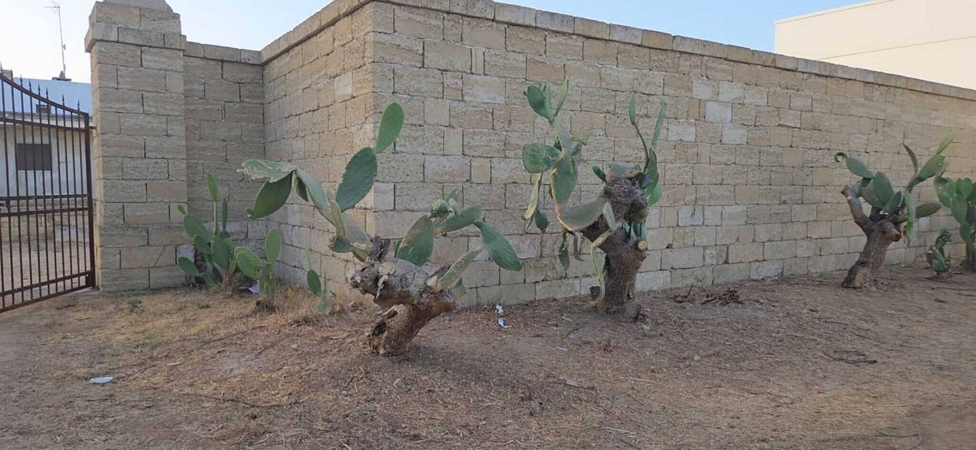 Appartamento intero, Appartamento 'Masseria Delle Api - Susy' con Terrazza e Giardino in Comune e Aria Condizionata in Scorrano, Provincia di Lecce