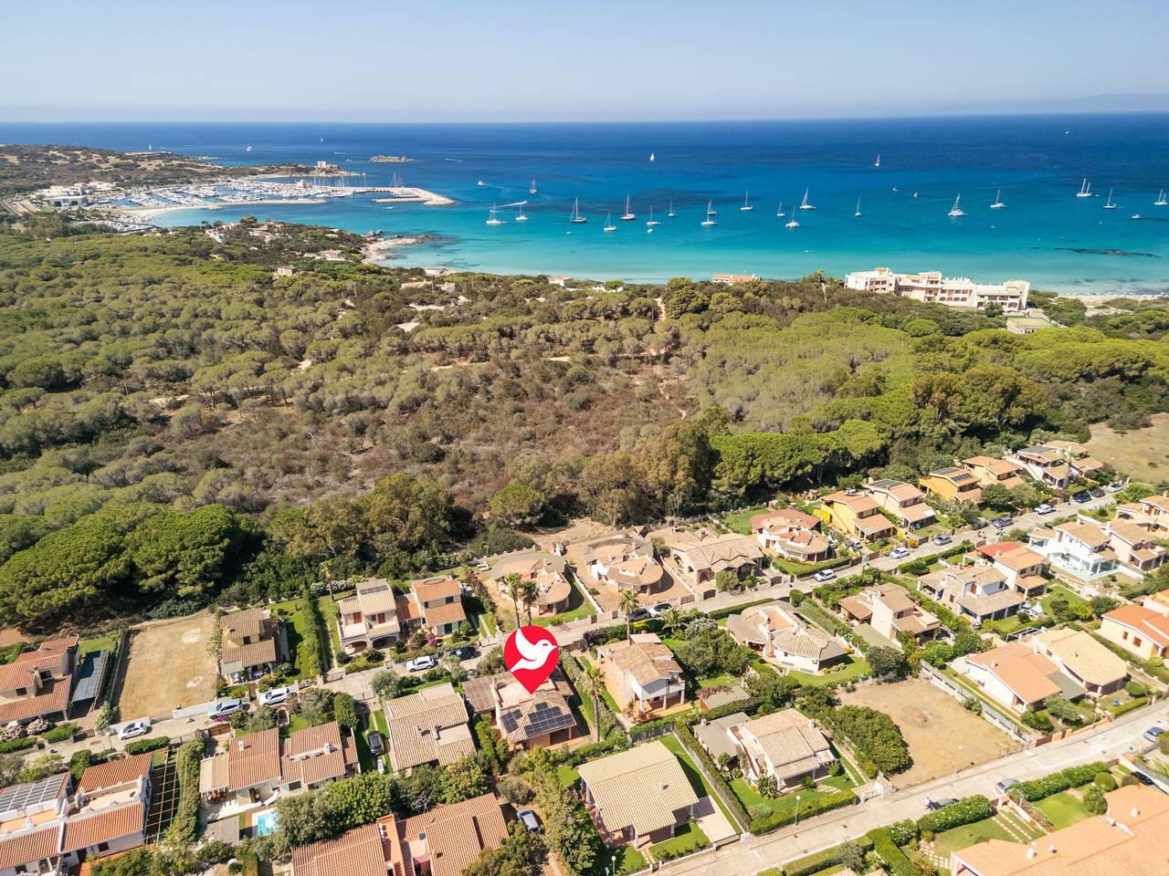 Le palme in Villasimius, Cagliari Provinz