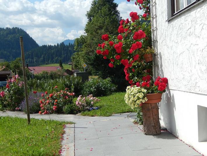 Ferienwohnung für 2 Personen in Obermaiselstein - 4