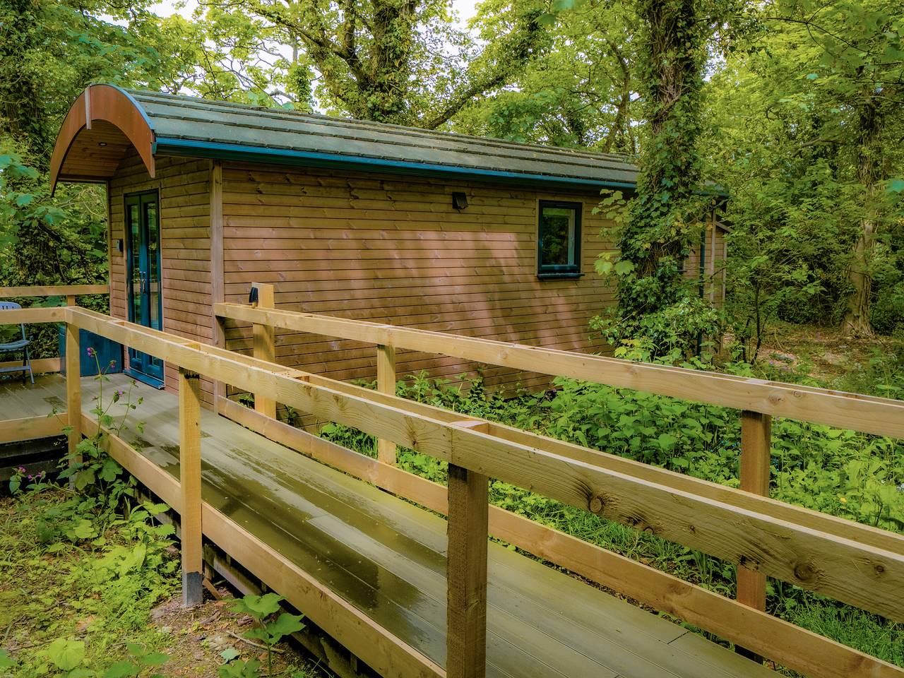 Woodpecker - Uk43451 in Cornwall