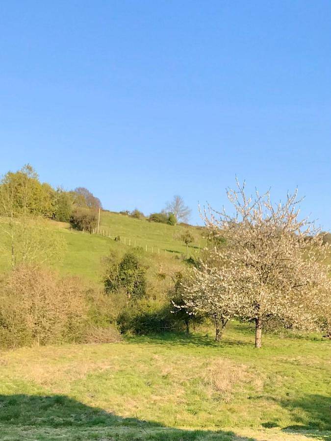 Location de vacances pour 5 personnes, avec jardin ainsi que terrasse et vue à Putot-en-Auge - 4