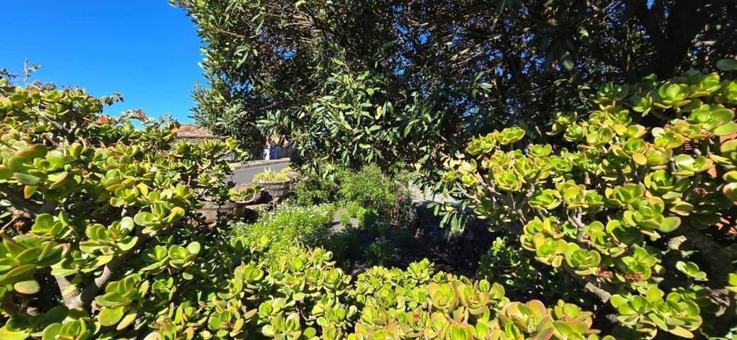 Casa de vacaciones para 4 personas, con vistas además de terraza y jardín - 1