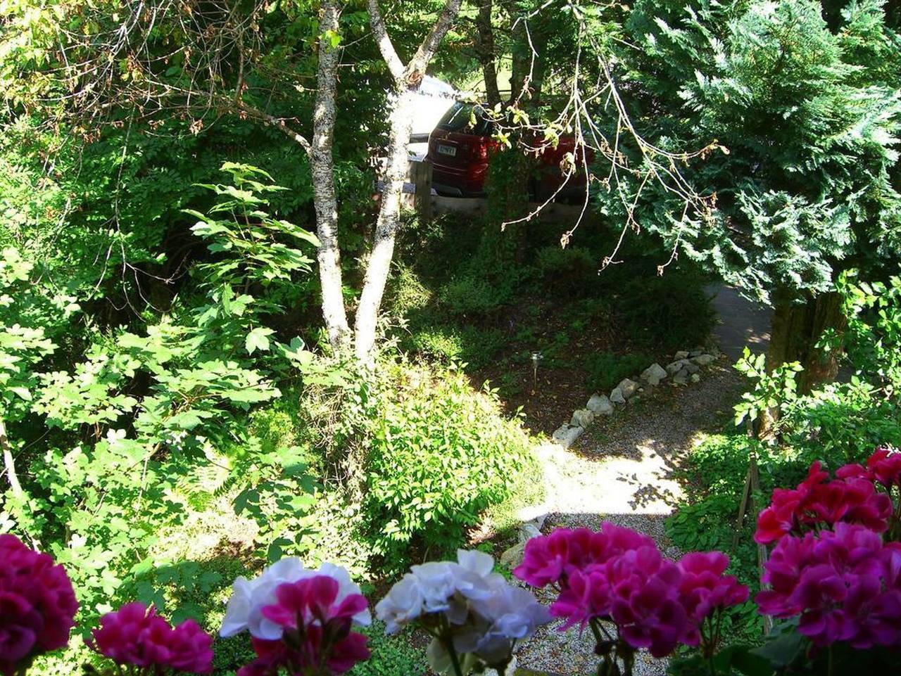 Ganze Ferienwohnung, Kaiserhof - Appartement Kaiserhof in Alpbach, Kaisergebirge