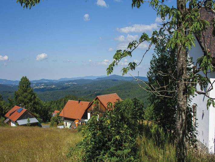 Ganze Wohnung, Ferienhaus Zum kleinen Lusen - Ferienhaus in Neuschönau, Šumava Mountains