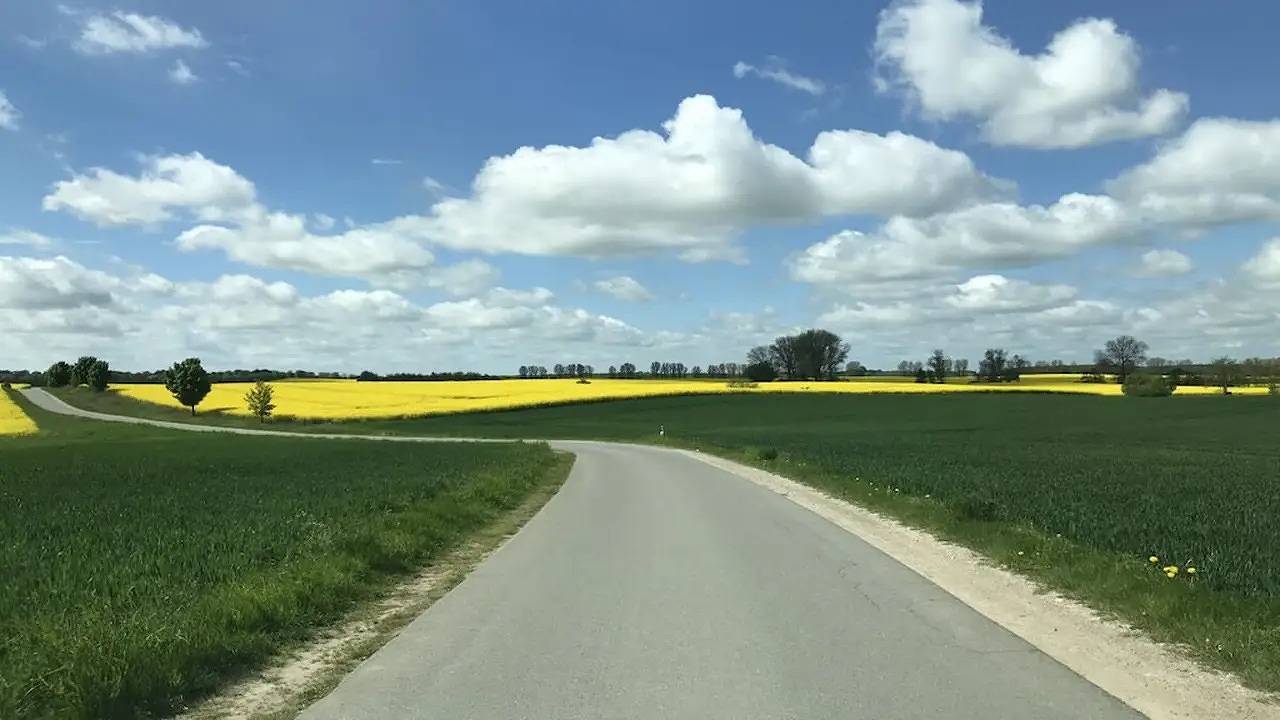 Ganze Ferienwohnung, Ferienwohnung für 5 Personen (105 m²) in Wildberg in Mecklenburgische Seenplatte