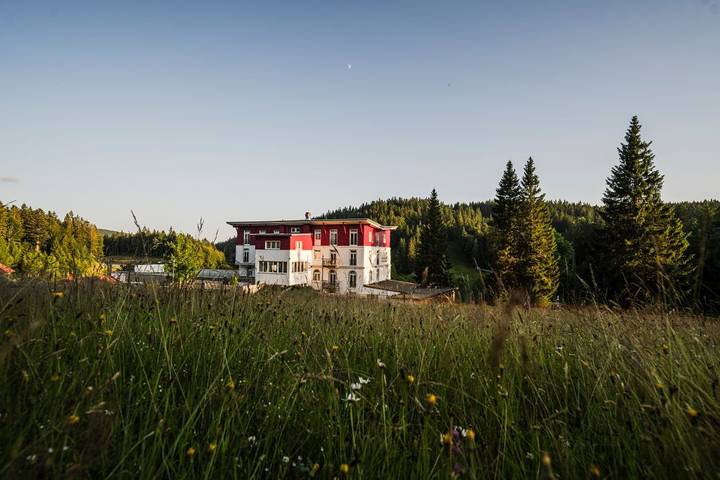Hôtel pour 3 personnes, avec terrasse ainsi que sauna et jacuzzi, animaux acceptés