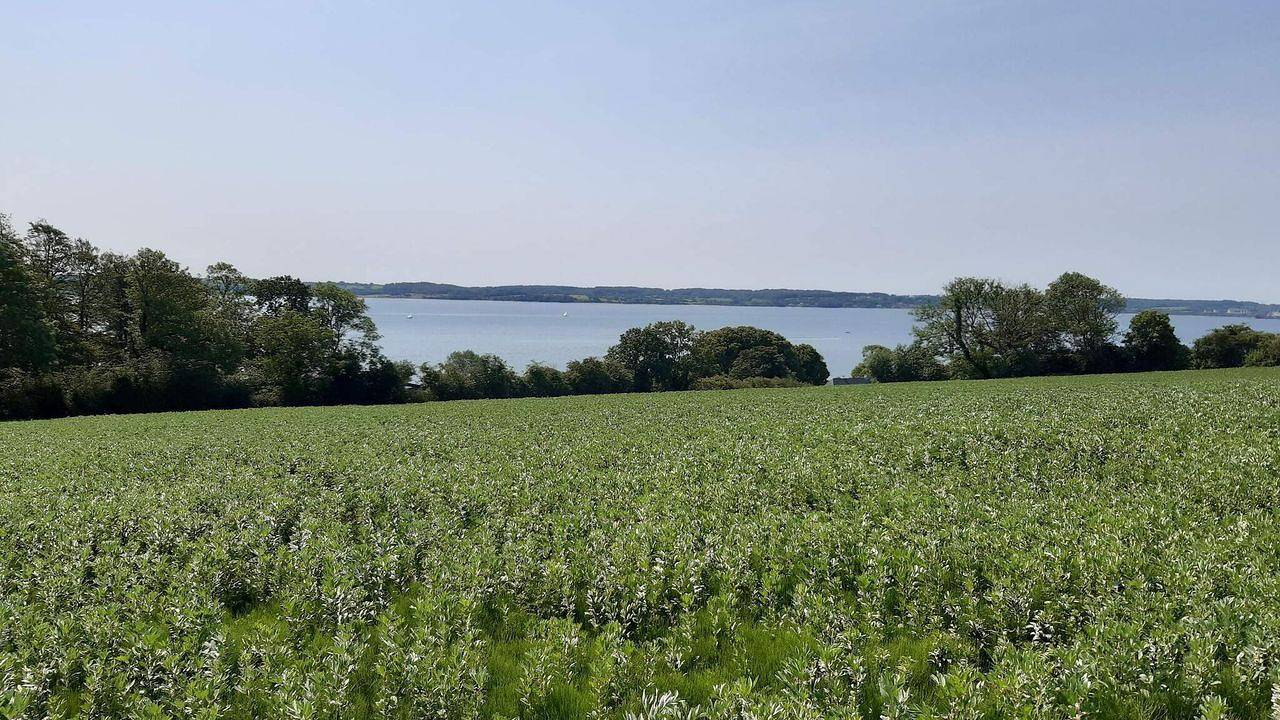 Ferienhaus für 4 Personen (68 m²) in Apenrade in Skarrev, Apenrade