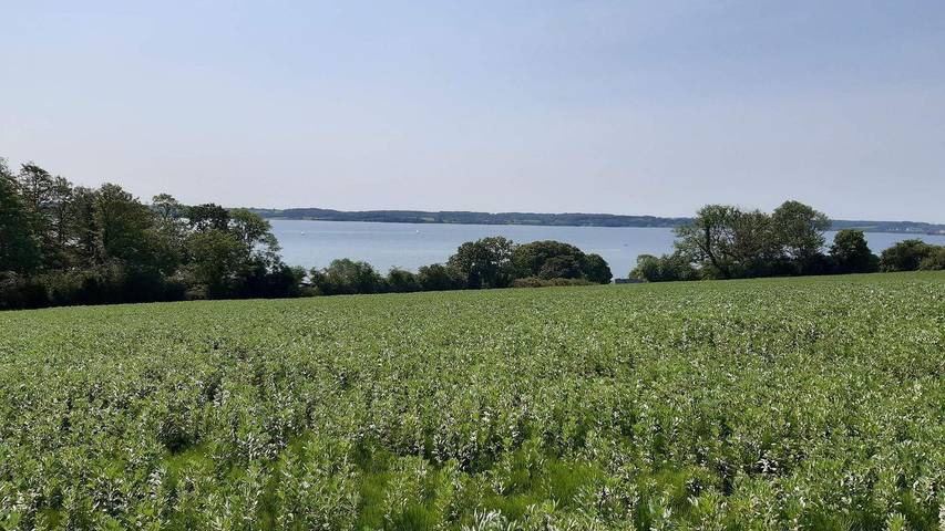 Ferienhaus für 5 Personen, mit Garten in Skarrev - 3