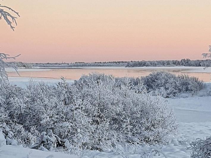 Pikkupöllö in Lappland