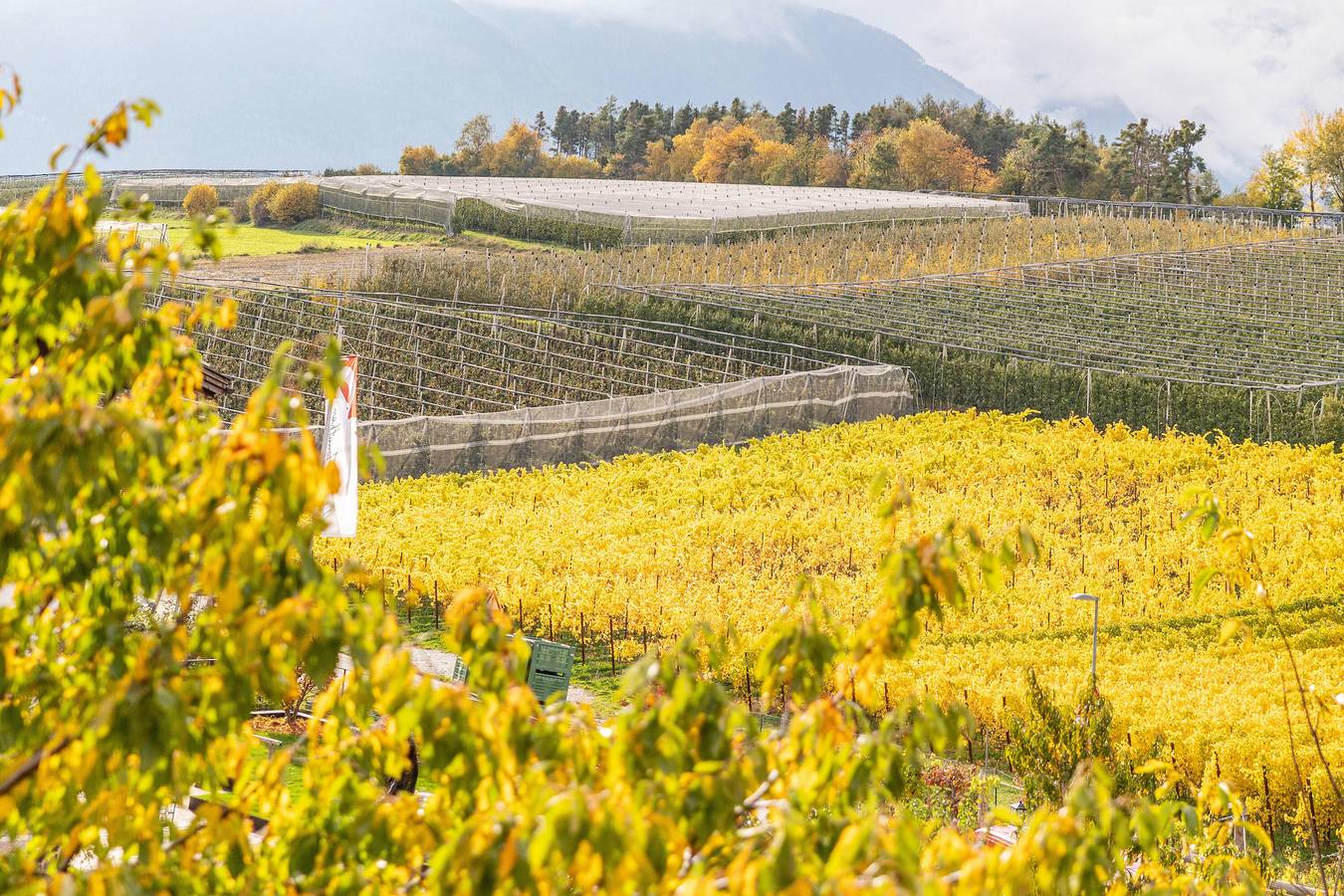 Entire apartment, Apartment 'Linderhof Panorama Terrasse' with Mountain View, Shared Pool and Wi-Fi in Natz - Naz, Natz-Schabs