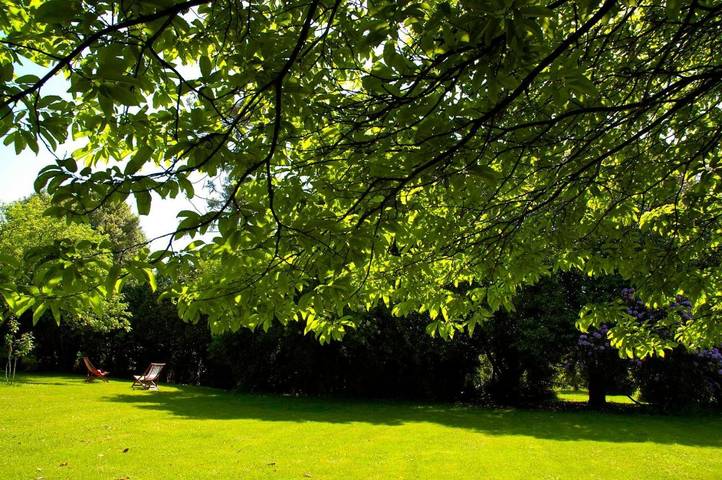 Casa rural para 5 personas, con jardín y terraza, Se admiten mascotas en San Xián de Sales - 3
