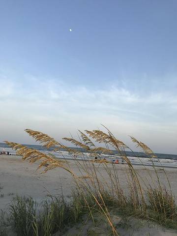 Vacation House for 12 Guests in Wild Dunes, Isle of Palms, Picture 4