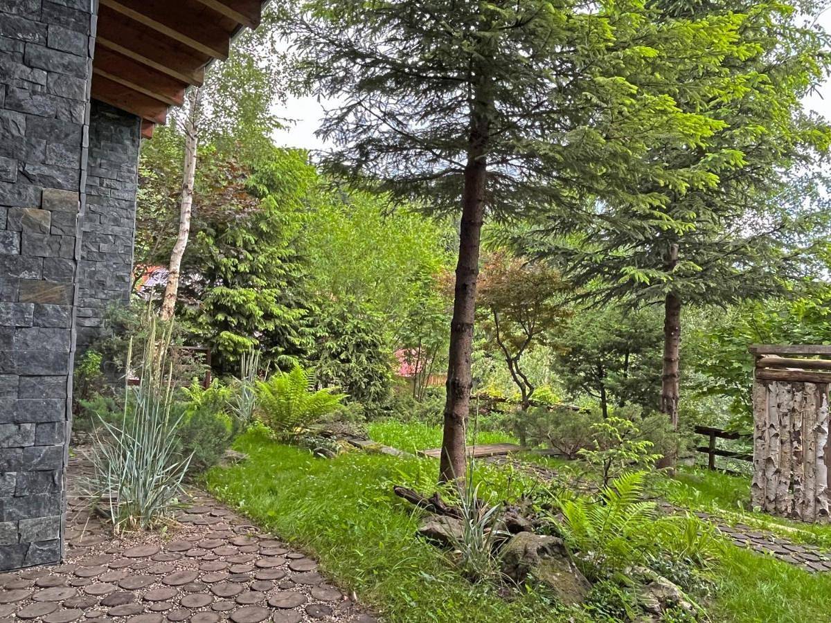 Deluxe Villa in Carpathians