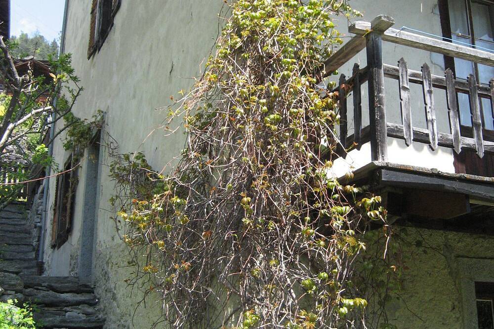 Grosses , charmantes Haus in malerischem Walliserdorf in Salvan, Martigny - Val de Bagnes & Umgebung
