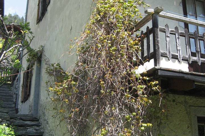 Location de vacances pour 12 personnes, avec piscine ainsi que jardin et balcon, animaux acceptés à Salvan - 4