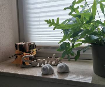 Ferienwohnung für 3 Personen in Silz (Pfalz), Südliche Weinstraße, Bild 1