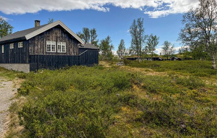 Ferienhaus für 8 Personen, mit Garten, mit Haustier in Ost-Norwegen - 3