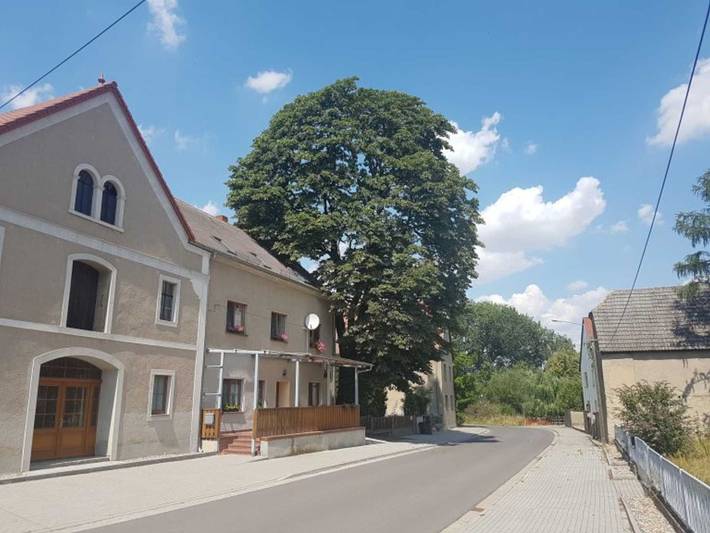 Zimmer für 2 Personen, mit Garten in Nordsachsen
