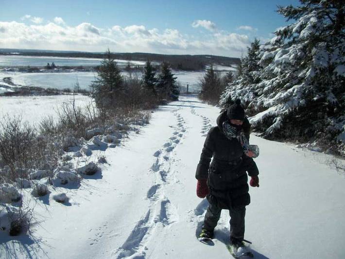 Cottage for 6 people, with terrace, with pets in Nova Scotia
