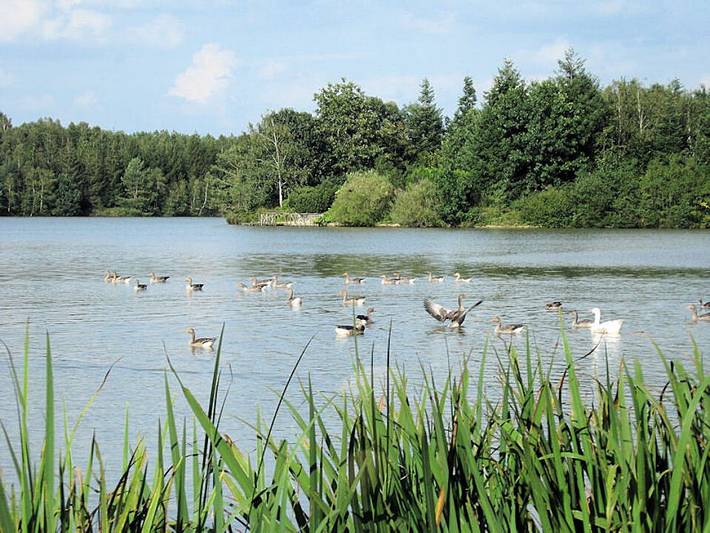 Studio pour 3 personnes, avec terrasse et vue sur le lac ainsi que piscine et jardin dans le Loir-et-Cher - 4
