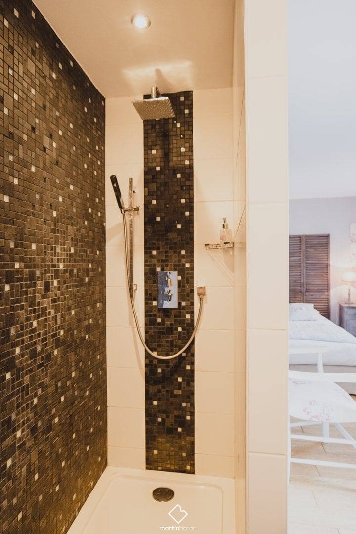 Le Clos de la Brète (proche Saumur) - Chambre 1 in Cizay-la-Madeleine, Vallée de la Loire